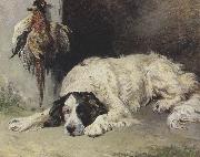 An English Setter at the end of the Day (mk37) John emms